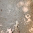 햇빛공원 배드민턴장 이미지