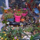 기우농장 이미지