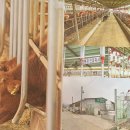 몽길농장 이미지