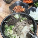 예가 돼지국밥 굴국밥 | 창원 중앙동 맛집 | 조선제일국밥 — 굴국밥 &amp; 모듬국밥 솔직후기