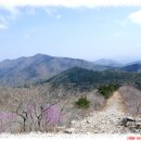 백운산가든 이미지