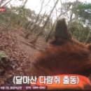 아미가 스테이 이미지