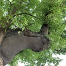 _나루터로2-7_ 이미지