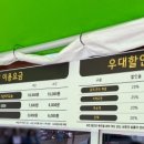가문비나무아래 이미지