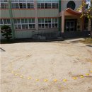 광도초등학교 이미지