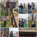 신화정 태권도 이미지