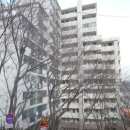 완월동103 이미지