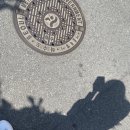 91. 초대받지 않은 돌잔치