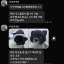 더본 동물병원 | 부산 슬개골수술 후기1️⃣ (더본, 더휴, 스타동물병원 다 가봄)