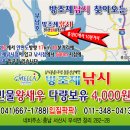 천수만[부남호] 9월14일 41cm붕어 혹부리와 호조황 이미지