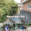 망월길 Daum카페