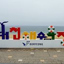 보령 대천해수욕장