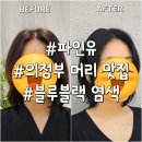 의정부미용실 염색 잘하는 곳 파인유 혜린쌤 블루블랙 톤다운 후기