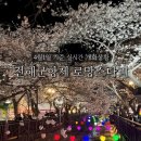 중원-25 | 2025년 진해 군항제 | 로망스다리 실시간 중원로타리 먹거리 주차정보