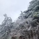 찬영축산 이미지