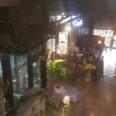 더플라워넝쿨 이미지