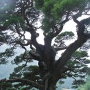 산솔마을 이미지