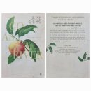 작은창 큰풍경 이미지