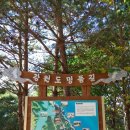 거진시내 이미지