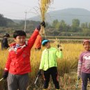 광주동초교충효분교 이미지