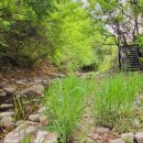 돋을볕펜션 이미지