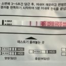 1483 | 시험관 2차 피검사 후기｜hCG 303→1483, 3일 만에 4.9배 더블링 성공