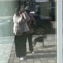 펫클럽샵 | 김포애견용품 풍무동애견용품 펫클럽 김포풍무점 🐶🐱