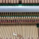 예진음악학원 이미지