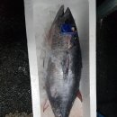 대경수산 이미지