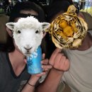 씨유 혼저옵서예점 이미지