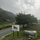 모꼬지펜션 | [하동 모꼬지 펜션] 지리산 계곡 물놀이 하기 좋은 하동 모꼬지 펜션, 내돈내산 솔직후기