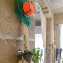 달시플러스 이미지