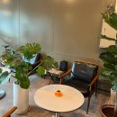 Cafe 153 이미지