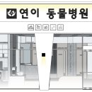 연이동물병원 이미지