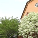 구암성당 앞 이미지