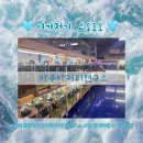 아쿠아 커피연구소 티스토리