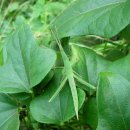 선학어린이집 이미지