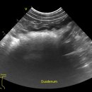 24시하나린동물의료센터 이미지