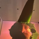 명성 스크린 | CGV 용산아이파크몰 스크린X 후기 용스엑 명당과 시야 꿀팁