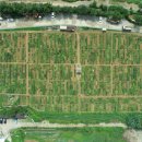 구민농장 이미지