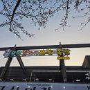 가장맛있는족발 문덕점 | 포항 문덕 맛집 꽃돼지보쌈족발 문덕점 점심 특선 추천해