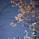 원데이클래스-제빵 이미지