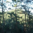 정량경로당 이미지