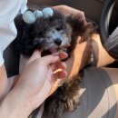 루트 231 이미지