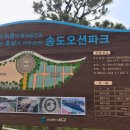 송도오토캠핑장 이미지