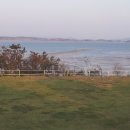 조수목장 이미지