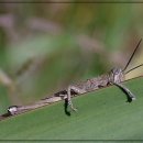 동작고려의원 | 요즘 제 목 상태, 동작에스엔재활의학과의원 덕분에 한결 편해졌어요!