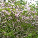 일동농협주유소 이미지