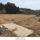 이의수농장 네이버블로그