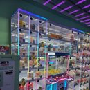 알찬오락실 | 홍대데이트코스 추천 최강오락실, 인형뽑기 스크린사격 농구까지 알찬 후기